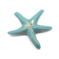 /album/fotogaleria/estrella-de-mar-jpg/